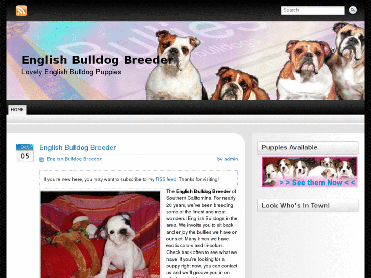 www.englishbulldogbreeder.org