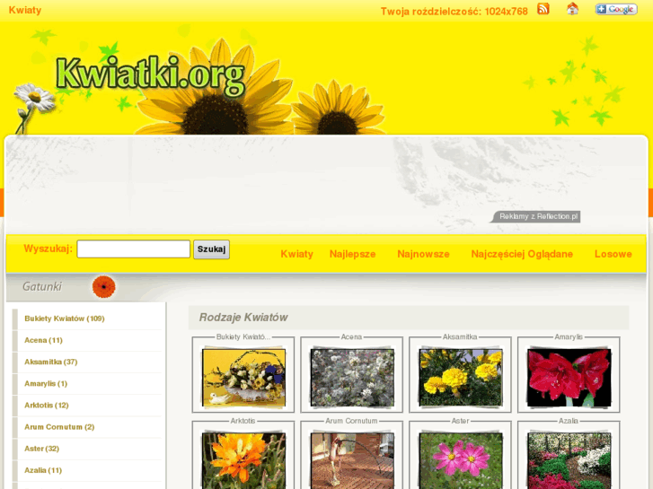 www.kwiatki.org
