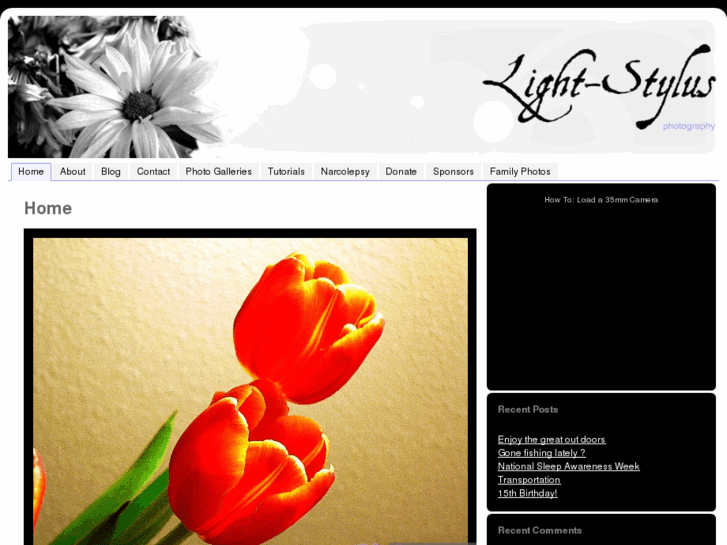 www.light-stylus.com