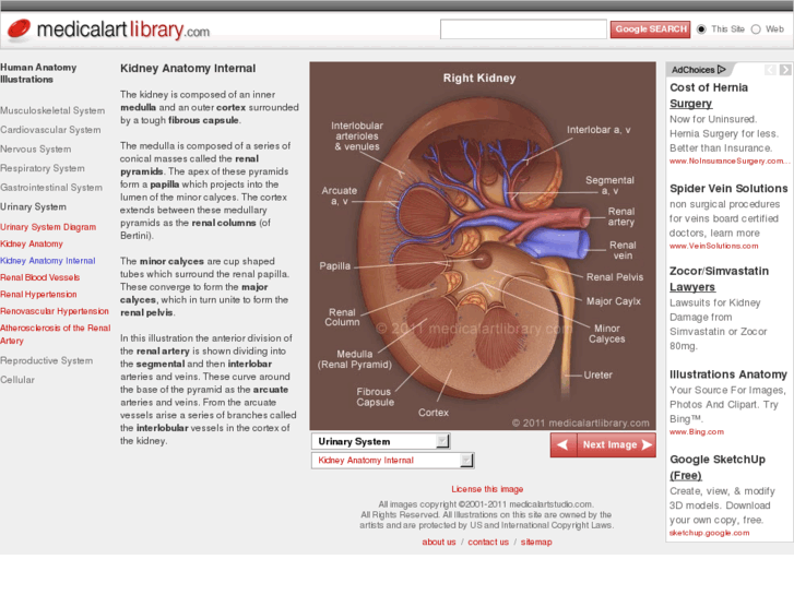 www.medicalartlibrary.com