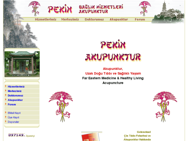 www.pekinakupunktur.com