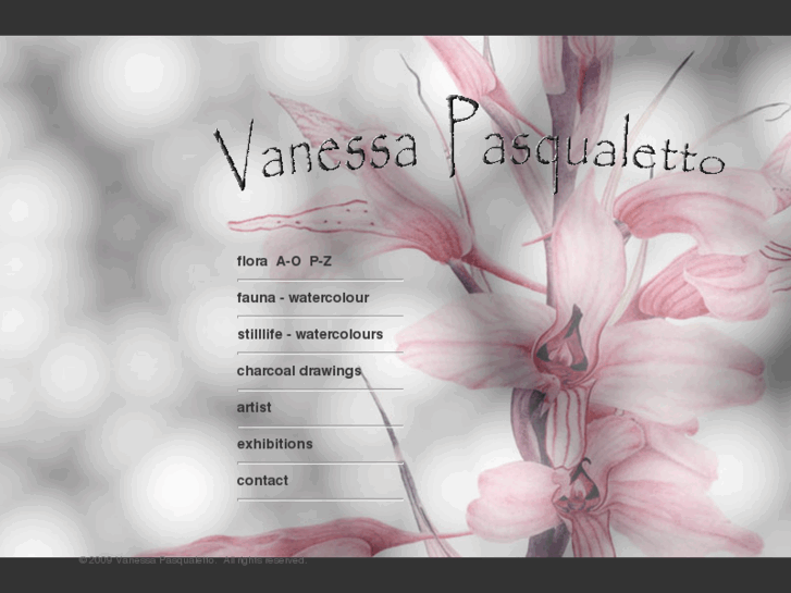 www.vanessapasqualetto.com