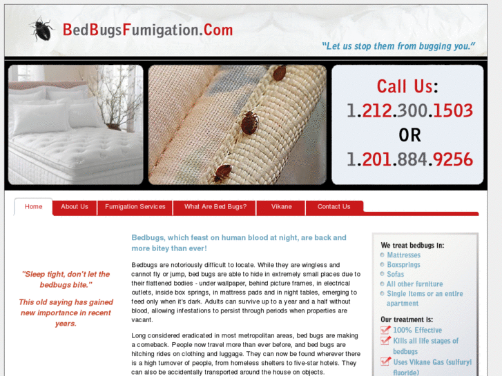 www.bedbugsfumigation.com