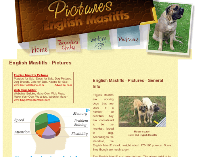 www.english-mastiffs-pictures.com