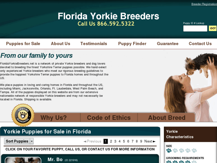 www.floridayorkiebreeders.net