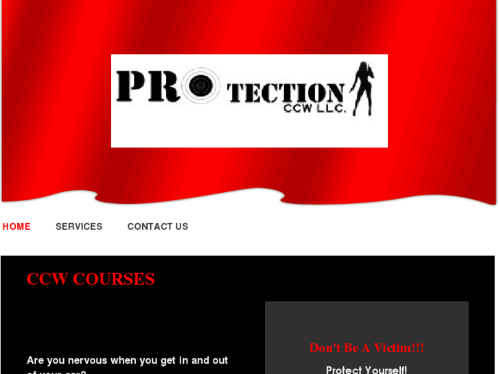 www.pro-tectionllc.org