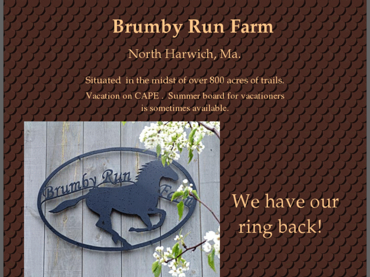 www.brumbyrunfarm.com