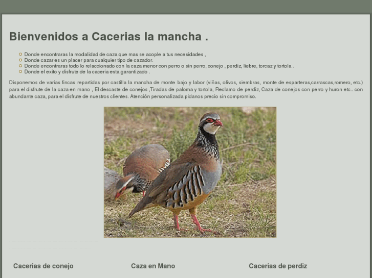 www.caceriaslamancha.es