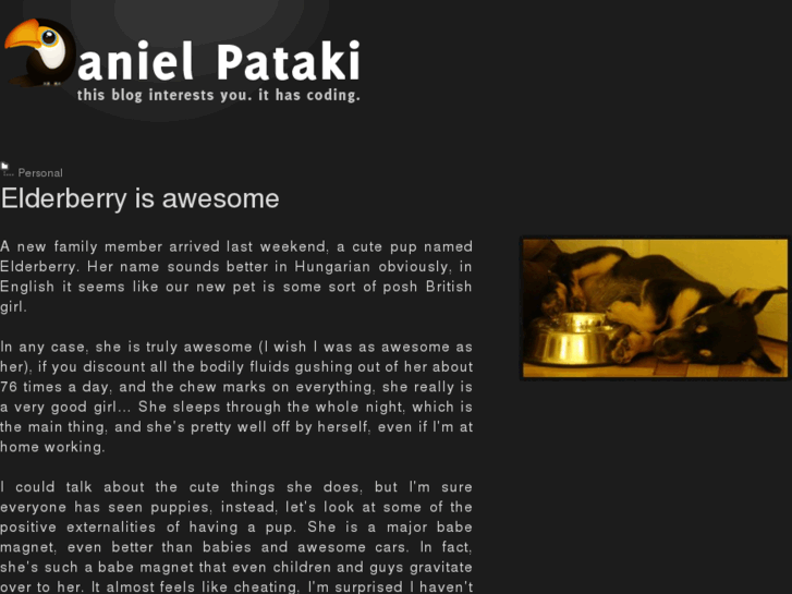 www.danielpataki.com