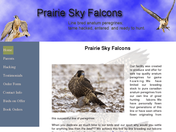 www.prairieskyfalcons.com