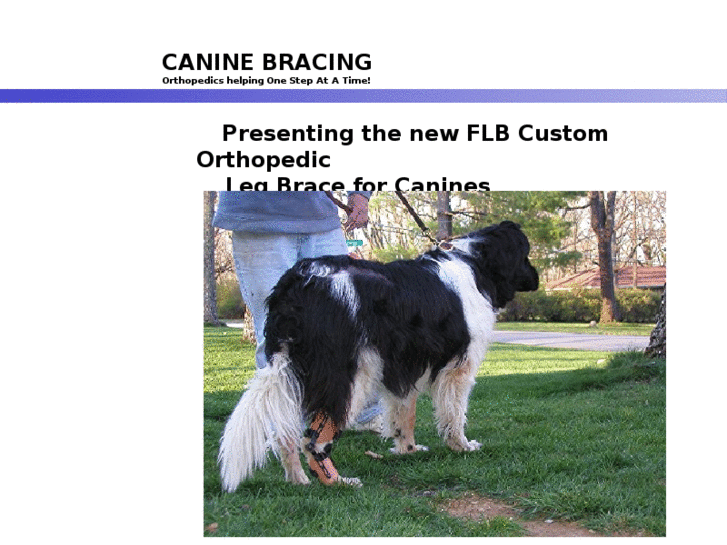 www.caninebrace.com