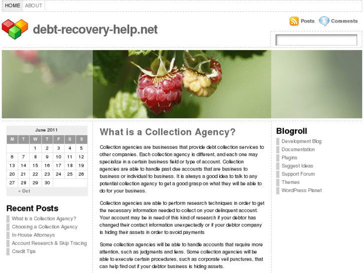 www.debt-recovery-help.net
