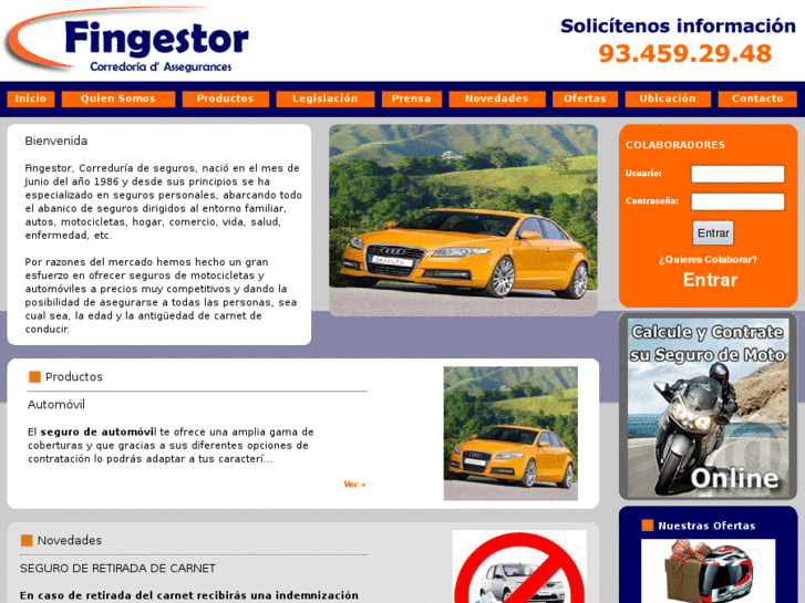 www.fingestor.com