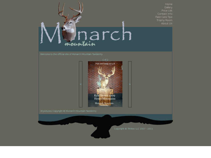 www.monarchtaxidermy.com