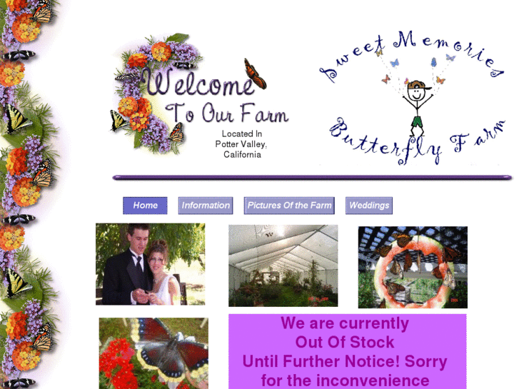 www.sweetmemoriesbutterflyfarm.com