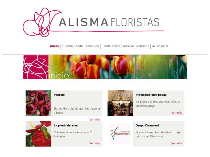 www.alismafloristas.com