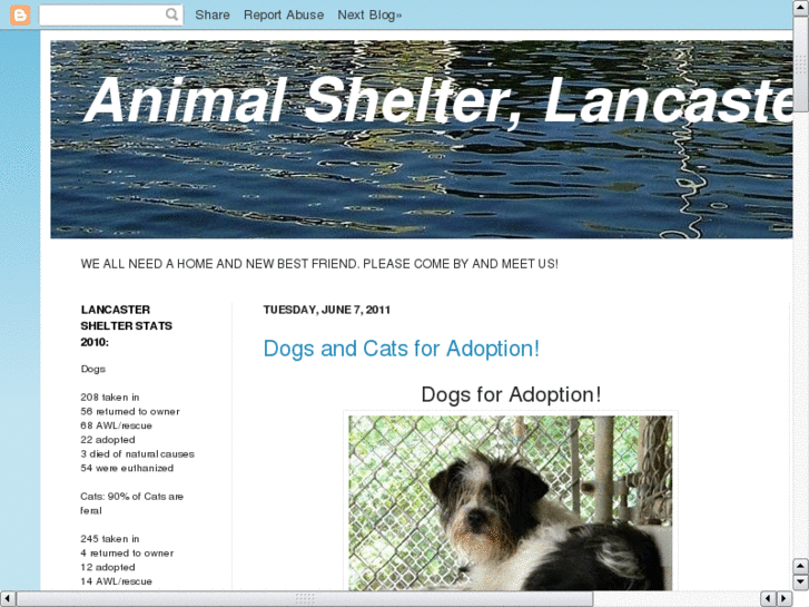 www.lancastershelter.com