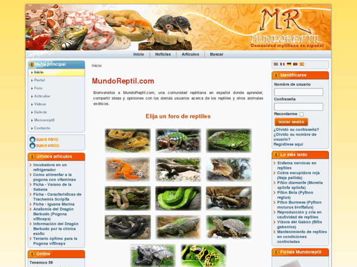 www.mundoreptil.es