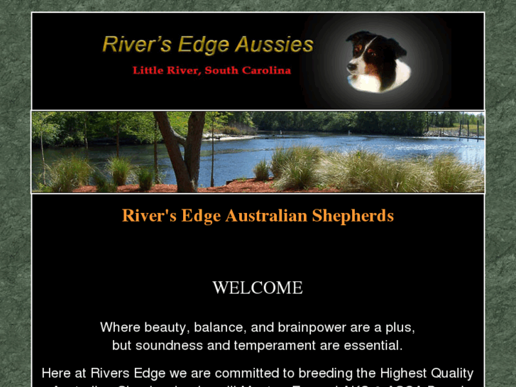 www.riversedgeaussies.com