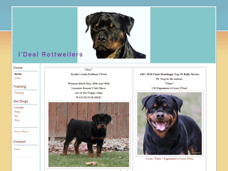 www.idealrottweilers.com