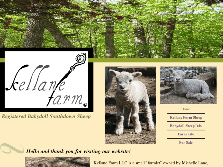 www.kellanefarm.com