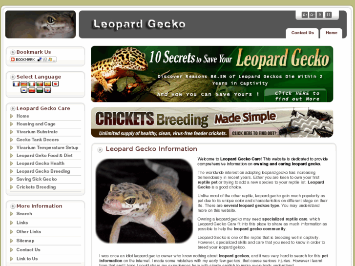 www.leopardgeckocare.net