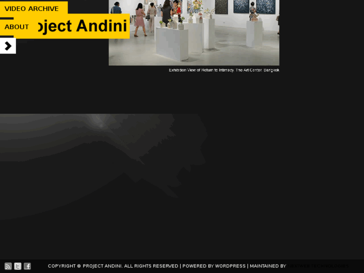 www.projectandini.org