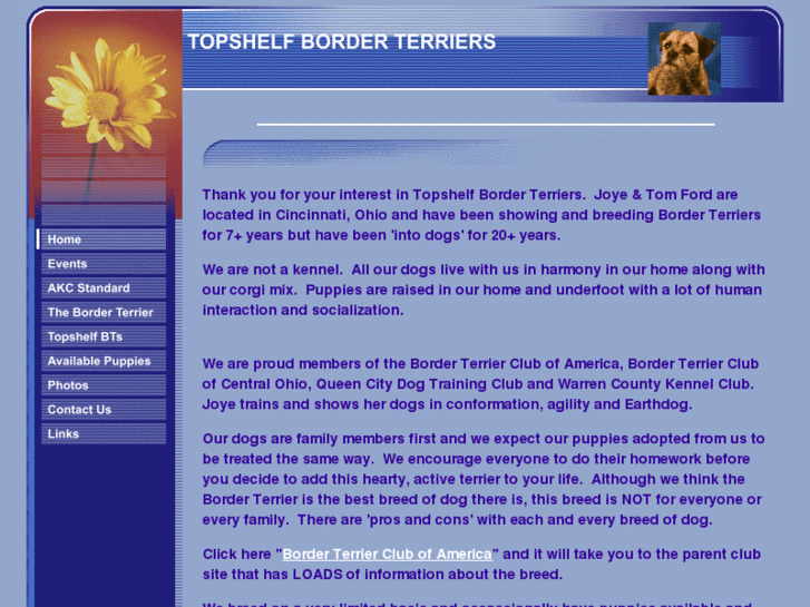 www.topshelfborderterriers.com