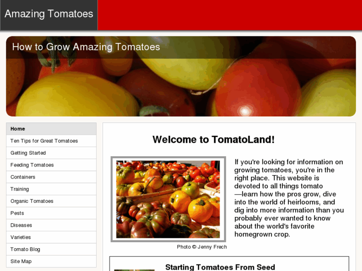 www.amazingtomatoes.com