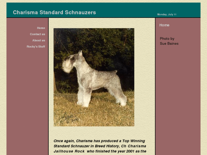 www.charismaschnauzers.com