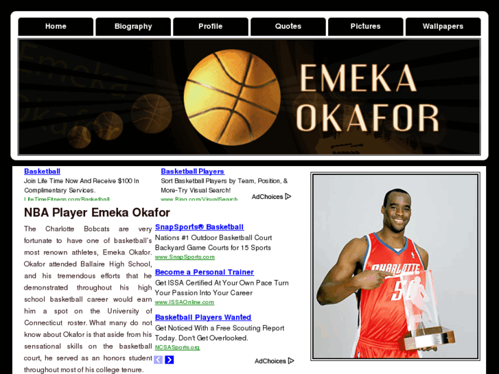 www.emekaokafor.org