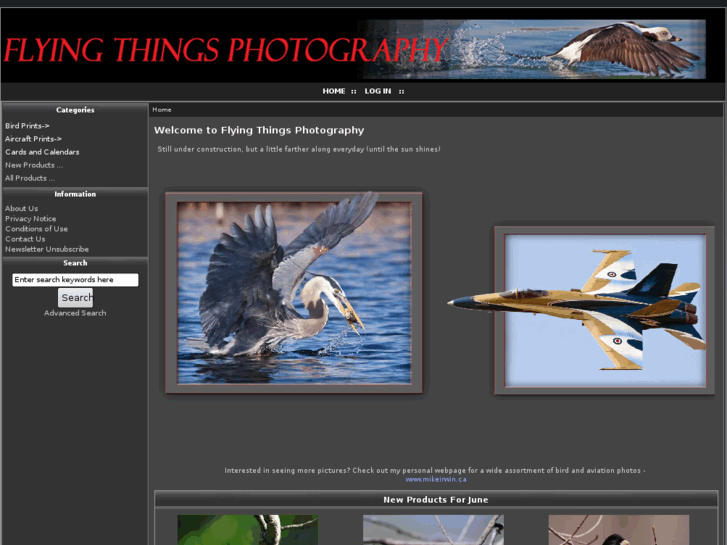 www.flyingthingsphotography.com