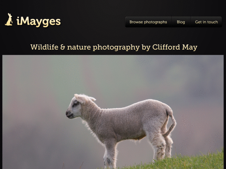 www.imayges.com