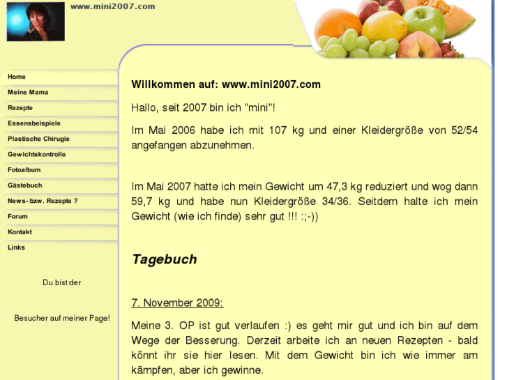 www.mini2007.com