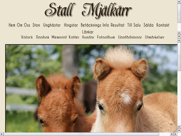 www.minishetland.com