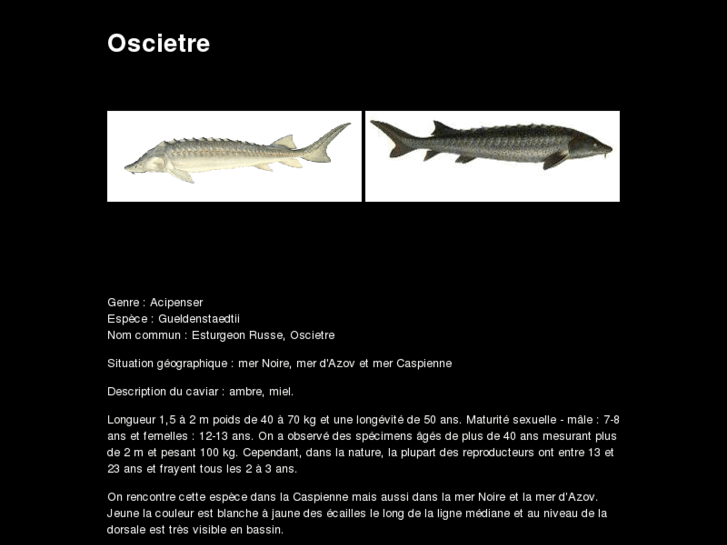 www.oscietre.fr