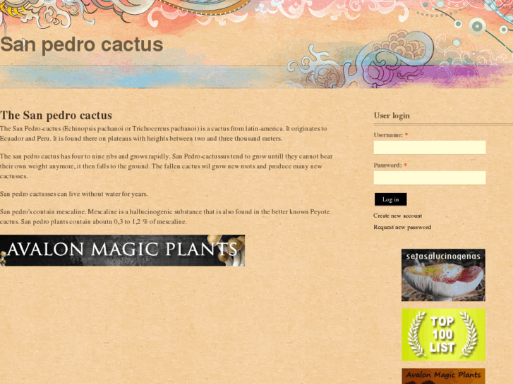 www.sanpedrocactus.net