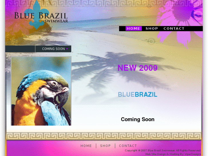 www.bluebrazilswimwear.com