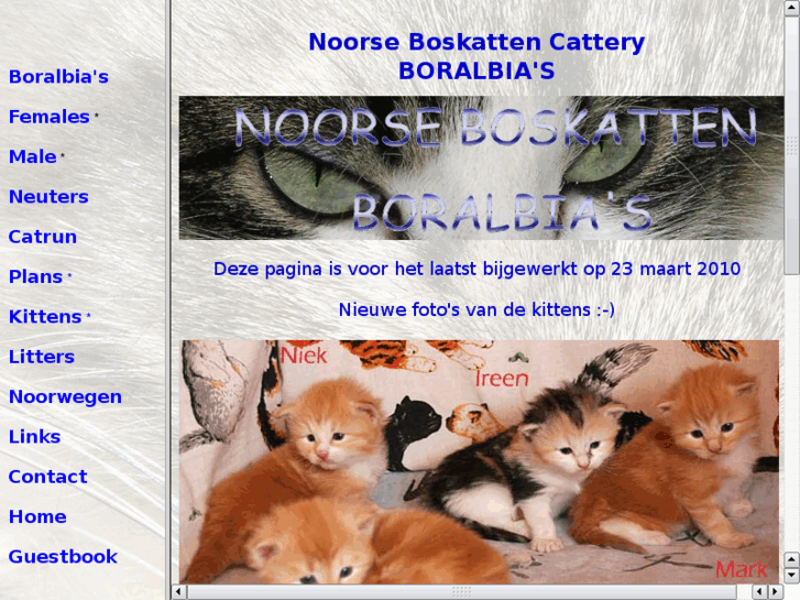 www.boralbias.nl