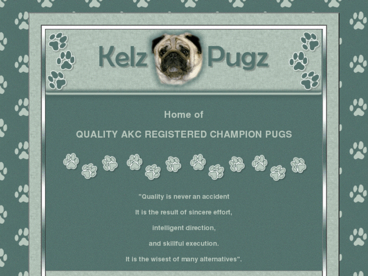 www.kelzpugz.com