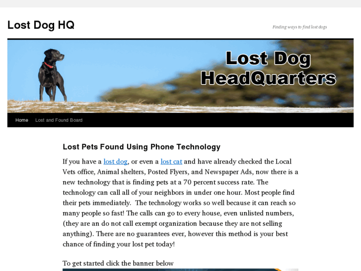 www.lostdoghq.com