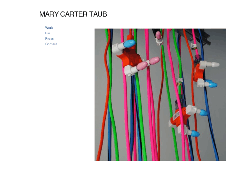 www.marycartertaub.com