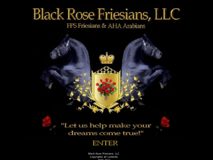 www.blackrosefriesians.com