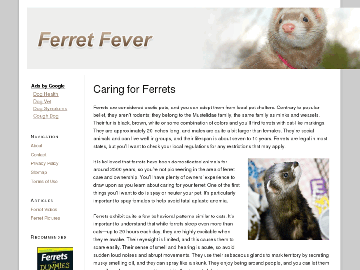 www.ferretfever.com