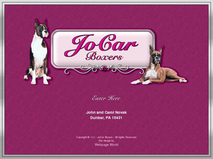 www.jocarboxers.com