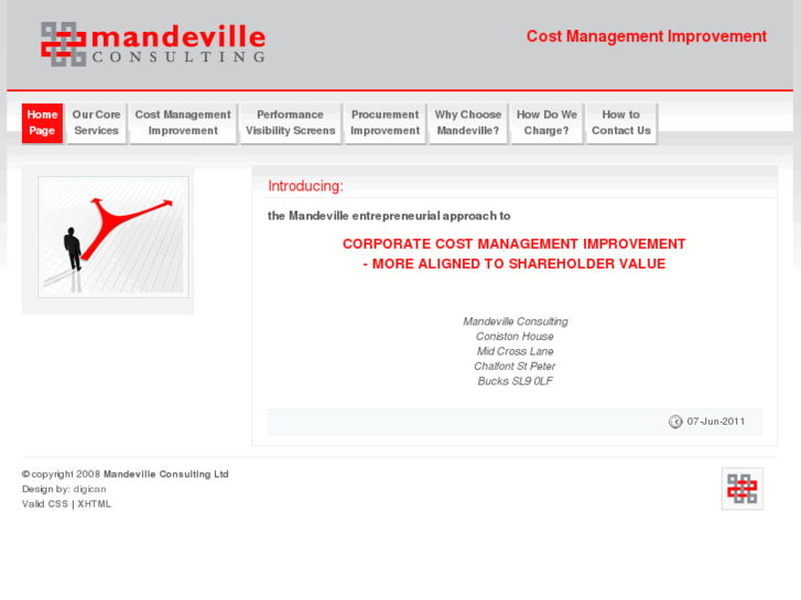 www.mandevilleconsulting.com