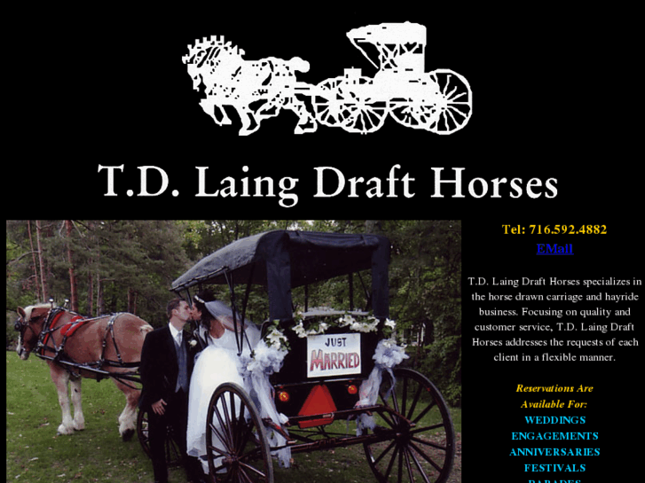 www.tdlaingdrafthorses.com