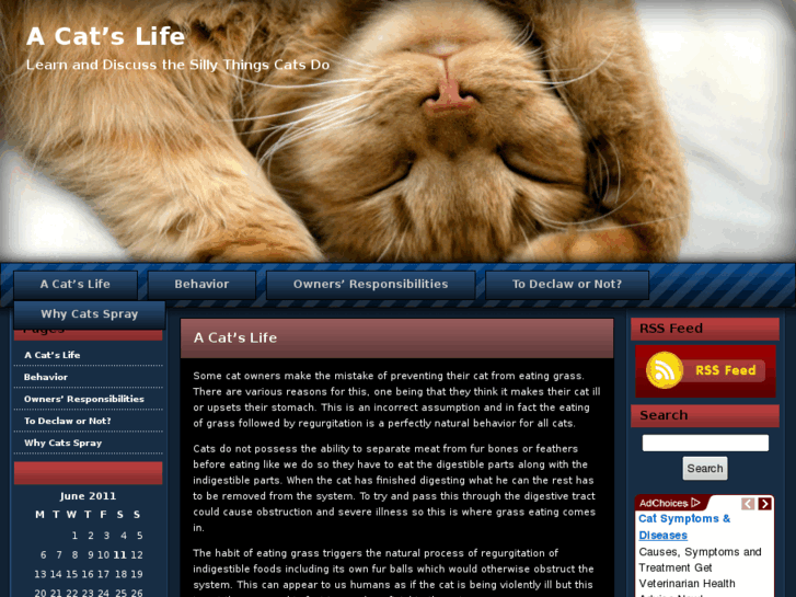 www.acatslife.com