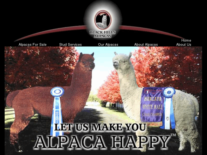 www.alpacahappy.com