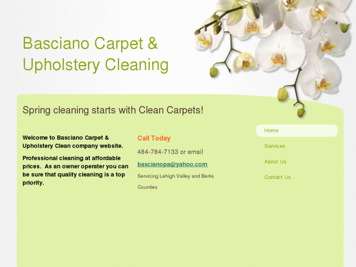 www.bascianocarpetcleaning.com